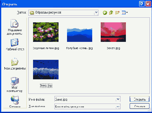   TopenPictureDialog